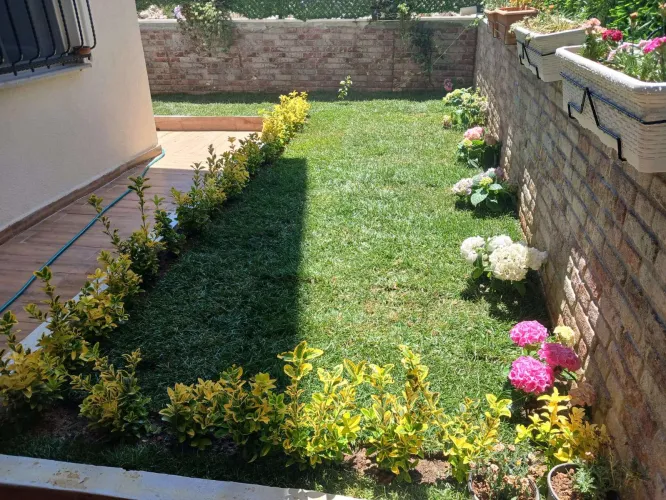 Bahçelievler rulo çim ve çiçeklendirme uygulaması